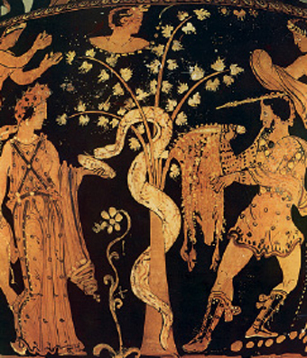 1. Ενώ η Μήδεια αποκοιµίζει το δράκο, ο Ιάσονας αρπάζει το χρυσόµαλλο δέρας. Από αρχαίο ελληνικό αγγείο.