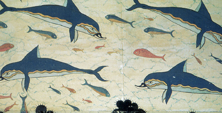 6. Η τοιχογραφία των δελφινιών από το δωµάτιο της βασίλισσας (αναπαράσταση).