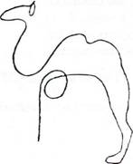 image6