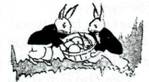 image306