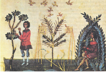 3.β. Οι Βυζαντινοί έπιαναν τα πουλιά με παγίδες που έστηναν πάνω σε δέντρα. Τα ξεγελούσαν με άλλα πουλιά, «κράκτες»4, που κρατούσαν σε κλουβιά.