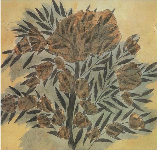 Tοιχογραφία της Κνωσού που απεικονίζει κλαδιά ελιάς, Ηράκλειο, Αρχαιολογικό Μουσείο, «The olive wreath», Nίκος & Mαρία Ψιλάκη, Ηλίας Καστανάς, εκδ. Καρμάνωρ, Ηράκλειο, 1999.