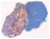 Το μπλε ουλτραμαρίν παράγεται από το λάπις.
