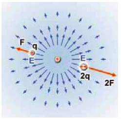 Μια αναπαράσταση του ηλεκτρικού πεδίου ενός σημειακού φορτίου μέσω των διανυσμάτων της δύναμης και της έντασης. Τα μπλε βέλη παριστάνουν την ένταση και τα κόκκινα τη δύναμη. Το μήκος των διανυσμάτων παριστάνει το μέτρο της έντασης.