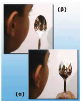 Δύο είδη καμπύλων καθρεφτών: (α) κυρτός, (β) κοίλος.
