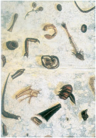 Ψηφιδωτό δάπεδοπου παρουσιάζειμε μεγάλη λεπτο-μέρεια υπολείμμα-τα φαγητού, ώστενα προκαλείταιοφθαλμαπάτη (τεχνικήτων tesserae, Μουσείο Βατικανού, Ρώμη).