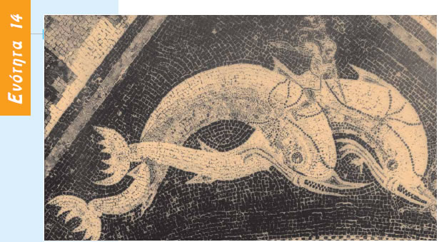Ψηφιδωτό από τη Δήλο που απεικονίζει ερωτιδέα να χαλιναγωγεί δυο δελφίνια.