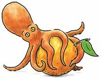 octopus on orange