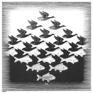 Έσερ: «Ψάρια-πουλιά»