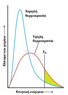 ΣΧΗΜΑ  3.5  Ενεργειακή κατανομή μορίων σε δύο διαφορετικές θερμοκρασίες. Το γραμμοσκιασμένο εμβαδόν αντιπροσωπεύει τον αριθμό των μορίων που έχουν ενέργεια μεγαλύτερη της ενέργειας ενεργοποίησης.