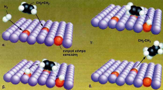 ΣΧΗΜΑ 3.8 Ερμηνεία της καταλυτικής δράσης του Ni στην αντίδραση				C2H4(g) +H2(g) ?N??i(s)>C2H6(g) με βάση τη θεωρία της προσρόφησης:				α. τα αέρια αντιδρώντα προσροφώνται στην επιφάνεια του καταλύτη				β. σπάνε οι δεσμοί των μορίων των αντιδρώντων π.χ. Η - Η				γ. σχηματίζονται οι δεσμοί των προϊόντων π.χ. C-H				δ. τα αέρια προϊόντα απομακρύνονται από την επιφάνεια του καταλύτη.