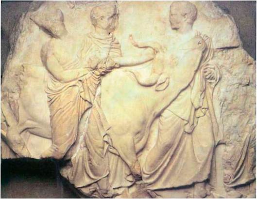 Νέοι που οδηγούν ταύρο για θυσία, από την παράσταση της Πομπής των Παναθηναίων στη ζωφόρο του Παρθενώνα, 447-432 π.Χ. Λονδίνο. British Museum.