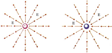Διανύσματα της έντασης του ηλεκτρικού πεδίου που δημιουργείται γύρω από: (α) θετικό σημειακό φορτίο, (β) αρνητικό σημειακό φορτίο. Εικόνα 1-16.