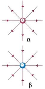 (α) Οι δυναμικές γραμμές αποκλίνουν και κατευθύνονται από το θετικό φορτίο προς το άπειρο. (β) Οι δυναμικές γραμμές συγκλίνουν και κατευθύνονται προς το αρνητικό ηλεκτρικό φορτίο. Εικόνα 1-17.