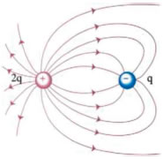 Δυναμικές γραμμές πεδίου δύο φορτίων +2q και -q. Εικόνα 1-21.