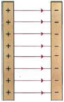 Απεικόνιση ενός ομογενούς ηλεκτρικού πεδίου. Η έντασή του είναι σταθερή σε κάθε σημείο μεταξύ των πλακών. Εικόνα 1-23.