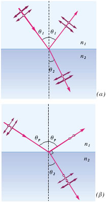 1-26 α) Όταν μη πολωμένο φως προσπίπτει σε διαχωριστική επιφάνεια δύο υλικών, η ανακλώμενη και η διαθλώμενη ακτίνα είναι μερικώς πολωμένες, (β) Όταν μη πολωμένο φως προσπίπτει σε ανακλώσα επιφάνεια υπό γωνία ίση με τη γωνία ολικής πόλωσης, η ανακλώμενη και η διαθλώμενη ακτίνα είναι κάθετες μεταξύ τους.