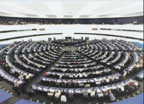 Ευρωπαϊκό Κοινοβούλιο: θεσμός υπερκρατικής αντιπροσώπευσης των κρατών (Ευρωπαϊκό Κοινοβούλιο: Το κοινοβουλευτικό όργανο της Ευρωπαϊκής Ένωσης, Γραφείο του Ευρωπαϊκού Κοινοβουλίου για την Ελλάδα, 2000).