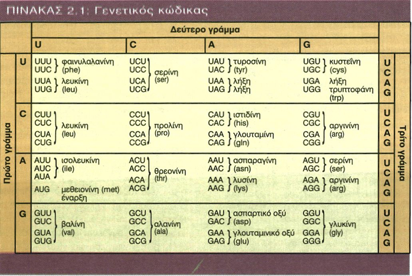 Πίνακας 2.1: Γενετικός Κώδικας