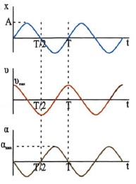 Σχ. 1.3 Στα διαγράμματα φαίνεται πώς μεταβάλλεται με το χρόνο η απομάκρυνση, η ταχύτητα και η επιτάχυνση ενός σώματος που κάνει γραμμική αρμονική ταλάντωση. 