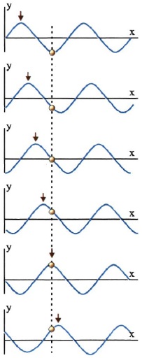 Σχ. 2.1 Κατά τη διάδοση ενός κύματος σε ένα ελαστικό μέσο τα σημεία του μέσου κινούνται γύρω από μια θέση ισορροπίας. Κατά τη διάδοση του κύματος δε μεταφέρεται ύλη. 