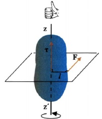 Σχ. 4.8 Η φορά της ροπής της δύναμης F βρίσκεται με τον κανόνα του δεξιού χεριού.