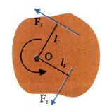 Σχ. 4.10 Στο σώμα ασκούνται οι δυνάμεις F1 και F2. Η φορά περιστροφής του σώματος καθορίζεται από το αλγεβρικό άθροισμα των ροπών. 