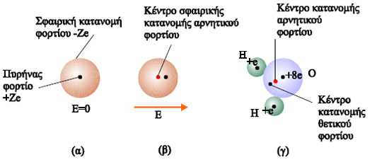 (α) Ένα απλό μονοατομικό μόριο εκτός ηλεκτρικού πεδίου δεν είναι δίπολο. Το κέντρο της κατανομής του αρνητικού φορτίου συμπίπτει με τον πυρήνα όπου είναι συγκεντρωμένο το θετικό φορτίο. (β) Το ίδιο μόριο όταν βρίσκεται μέσα σε ηλεκτρικό πεδίο μετατρέπεται σε δίπολο. (γ) κάποια μόρια, όπως αυτό του νερού, είναι δίπολα από την κατασκευή τους, είτε βρίσκονται σε ηλεκτρικό πεδίο είτε όχι.