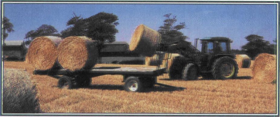 Εικόνα 5-11 Μπάλες σανού σιταριού που χρησιμοποιούνται στη διατροφή των ζώων