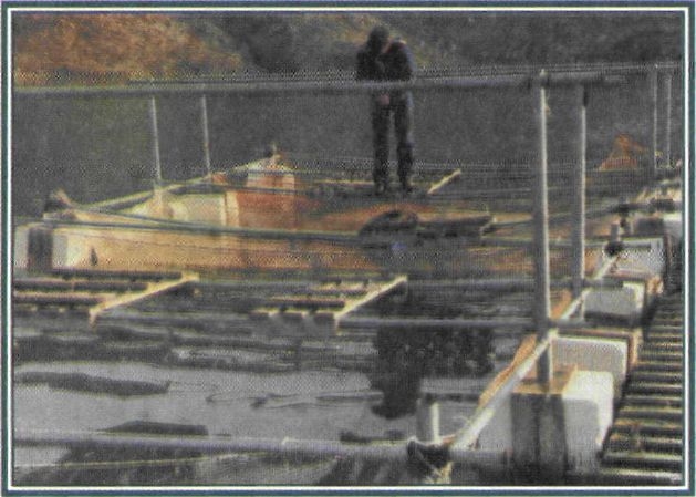 Εικόνα 5-60 Εκτροφή πέστροφας σε πλωτές Δεξαμενές, στην τεχνητή λίμνη των Κρεμαστών (φωτ. Σ. Παπουτσόγλου)