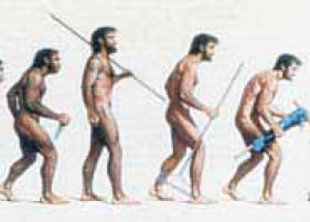 φωτ. 5. 1. Η εξέλιξη του ανθρώπου, σύμφωνα με τον Δαρβίνο, είναι αποτέλεσμα βιολογικών μεταβολών και κοινωνικής ζωής 5 εκατομμυρίων χρόνων.