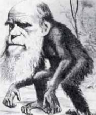 3. Γελοιογραφία σχεδιασμένη από αντίπαλο της δαρβινικής θεωρίας στην οποίαο Δαρβίνος παριστάνεται σαν πίθηκος..