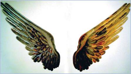 Παύλος, Φτερά