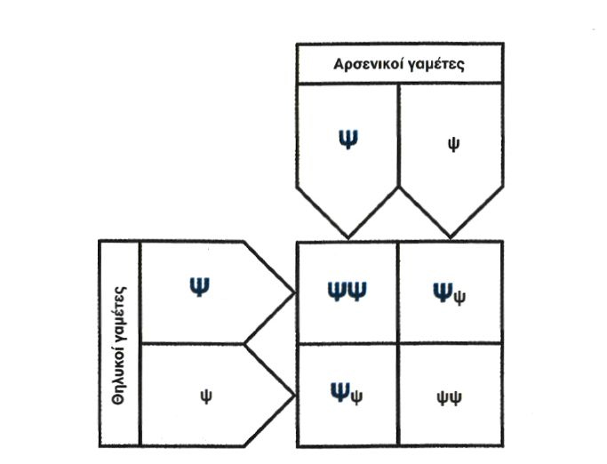 Εικόνα 5.5