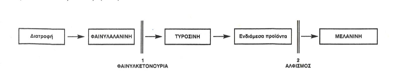 Εικόνα 6.4