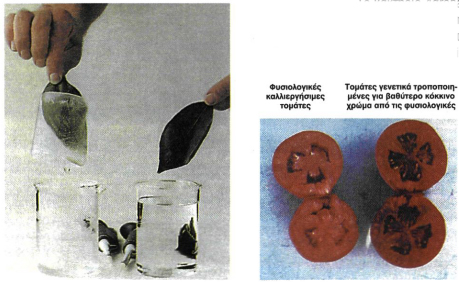 Εικόνα 9.1, Εικόνα 9.2