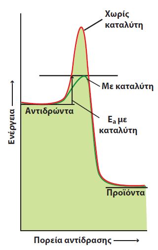 ΣΧΗΜΑ 3.7 Ο καταλύτης βρίσκει ένα πιο εύκολο μονοπάτι για την αντίδραση, με μικρότερη ενέργεια ενεργοποίησης Εa.