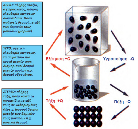 ΣΧΗΜΑ 1.7 Διαγραμματική απεικόνιση των τριών καταστάσεων της ύλης. Τα σωματίδια μπορεί να είναι μόρια ή ιόντα ή άτομα.