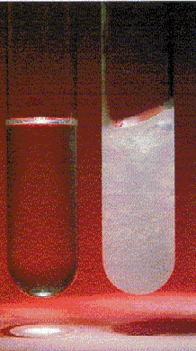 ΣΧΗΜΑ 1.8 Βενζόλιο στην υγρή και στερεή μορφή του, αντίστοιχα.