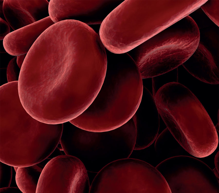 ερυθρά αιμοσφαίρια